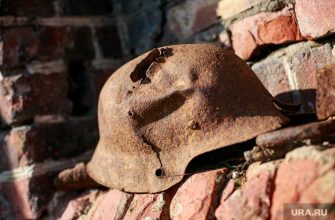 деньги на борьбу с искажениями истории