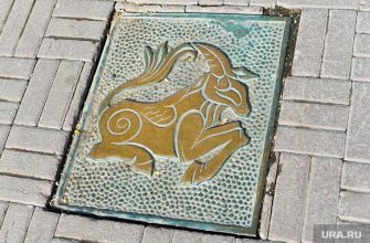 обидчивые знаки зодиака