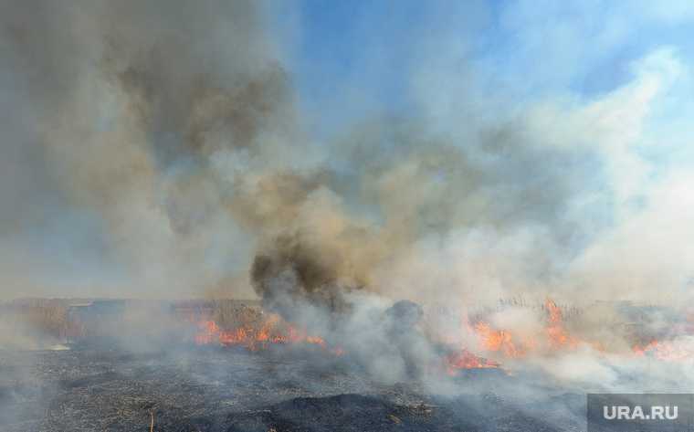 лесные пожары хмао челябинск