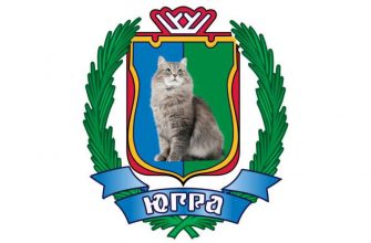 Правительство ХМАО перезагрузка эпидемия коронавирус национальные проекты