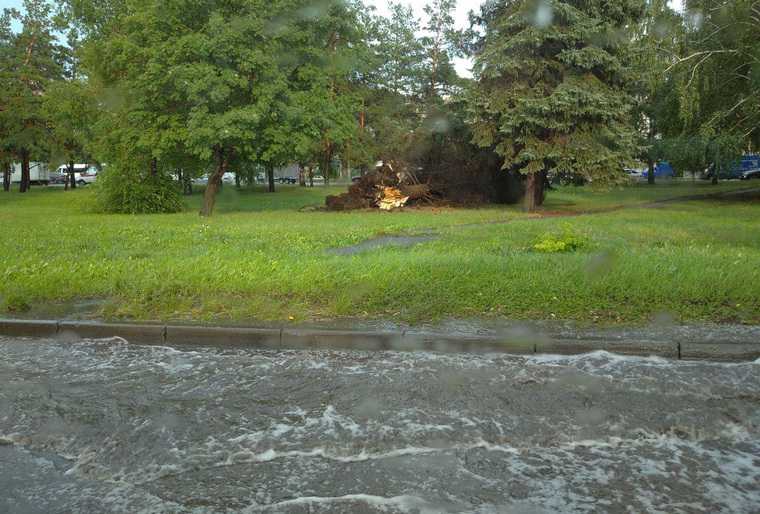 На Челябинскую область обрушился ураган. Деревья вырывало с корнем, улицы затопило. ФОТО, ВИДЕО