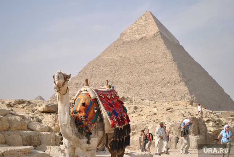 авиасообщение с египтом