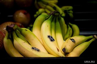 правильное питание