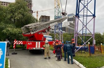Прокуратура проверка парк Маяковского день города катапульта