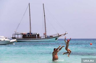 туроператоры