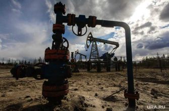 Сечин пожаловался Путину