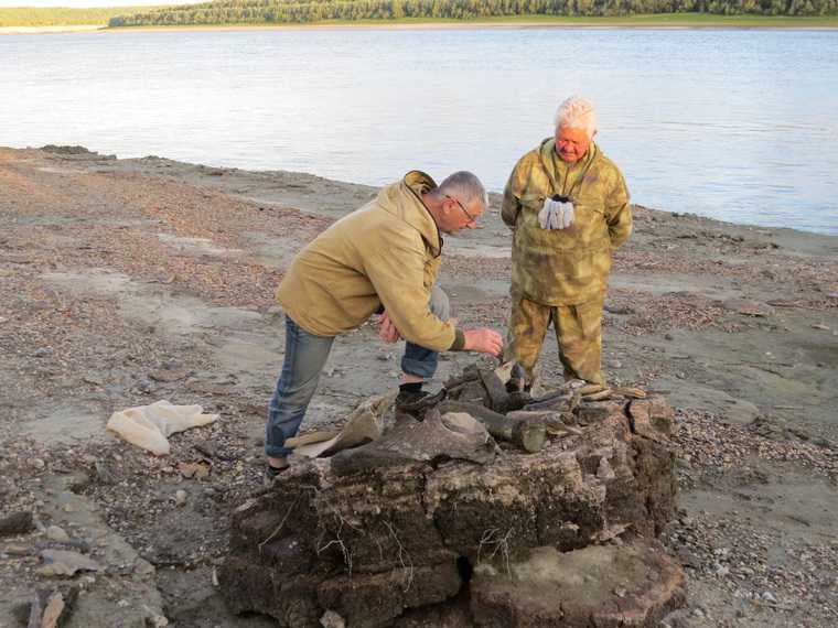 Ученые из Екатеринбурга обнаружили кладбище мамонтов. ФОТО