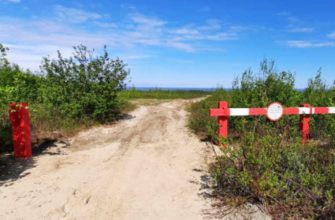 летний сезон 2020 ЯНАО посещение лесов