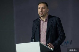 интернет омбудсмен критика электронное голосования