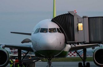 россияне Египет ОАЭ