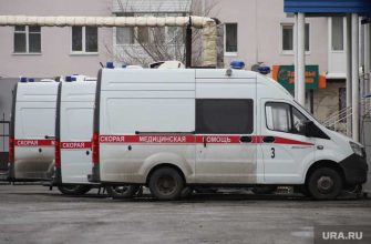 врачи в Кургане