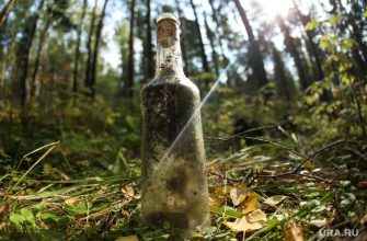 паблик против Кадырова