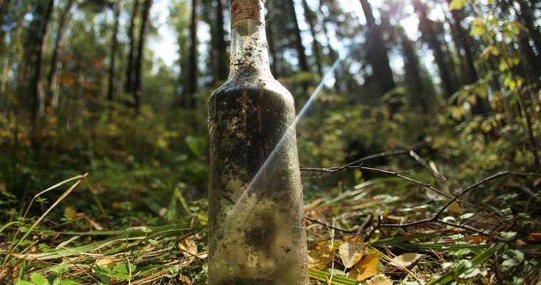 паблик против Кадырова