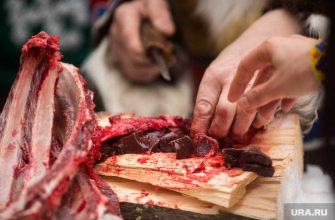 холдинг согласие мясо условия хранения