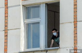 статистика данные результаты