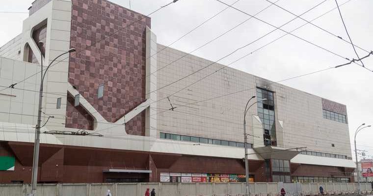 зимняя вишня