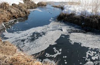 ЯНАО сельская канализация прокурорские проверки исковые заявления решения судов