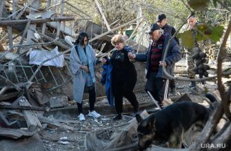 политические отношения