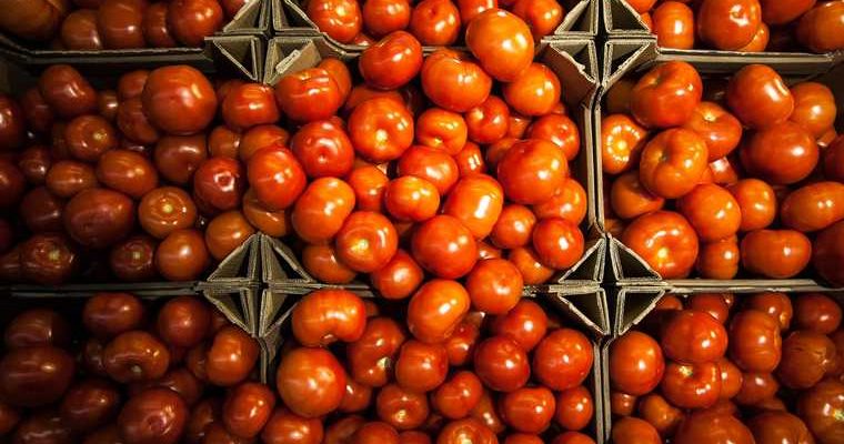 овощи фрукты Азербайджан запрет поставок Россельхознадзор южноамериканская моль