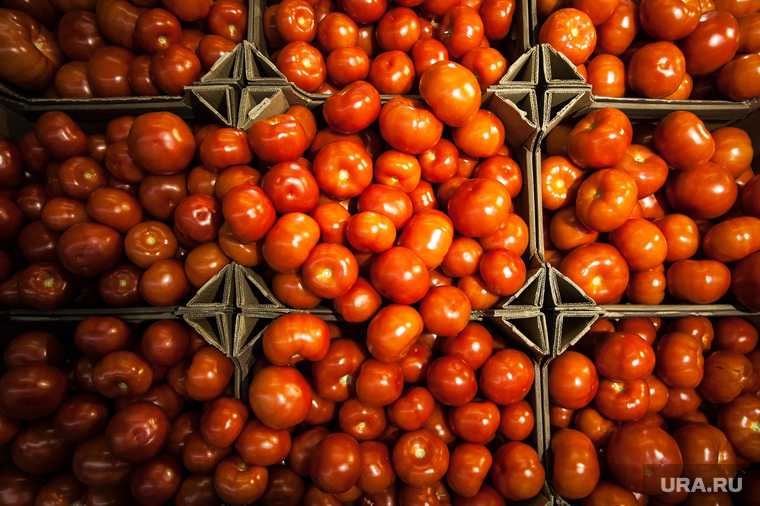 овощи фрукты Азербайджан запрет поставок Россельхознадзор южноамериканская моль