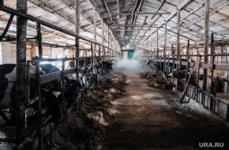 Сельское хозяйство Курганская область