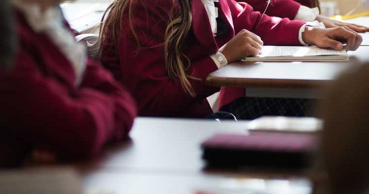 школы коронавирус дистанционное обучение ограничения