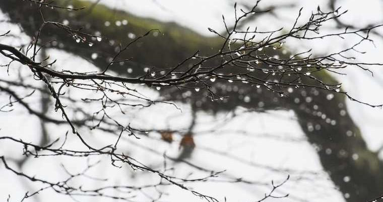 оттепель меокачели погода ноябрь декабрь