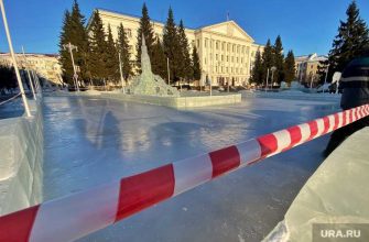 самоизоляция в Курганской области