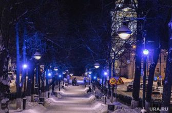 новости перми