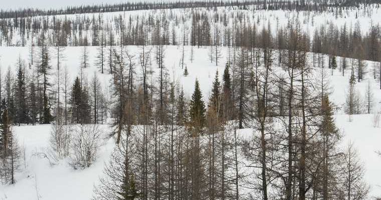 Экологические проекты Тюменской области