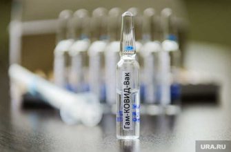 вирусологи предупредили об опасном решении Украины в пандемию