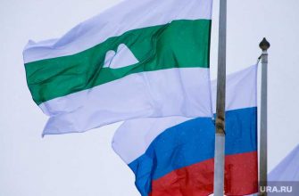 день области Курган афиша