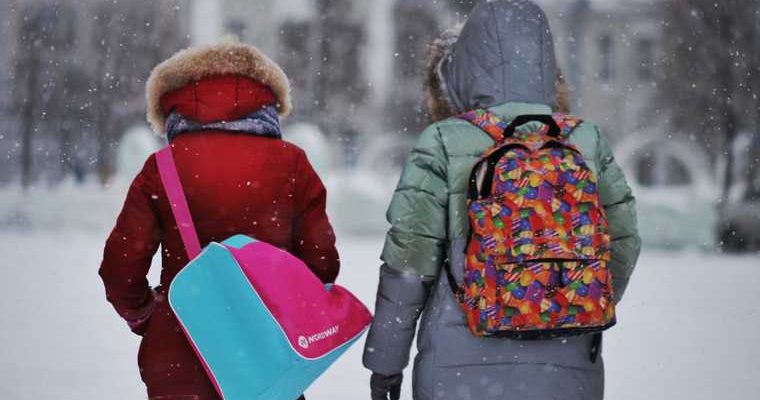 макушинская школа