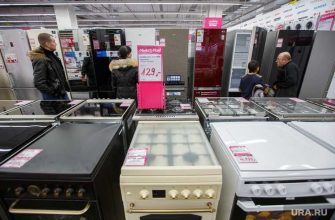 экономист прогноз