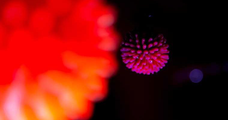 коронавирус мутация новый вирус ученые вирусологи вакцина штаммы