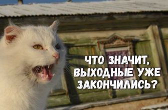 Александр Подорога заместитель губернатора ЯНАО