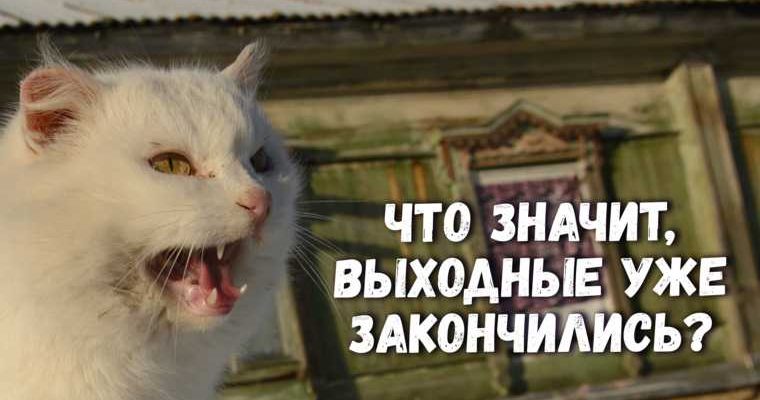 Александр Подорога заместитель губернатора ЯНАО