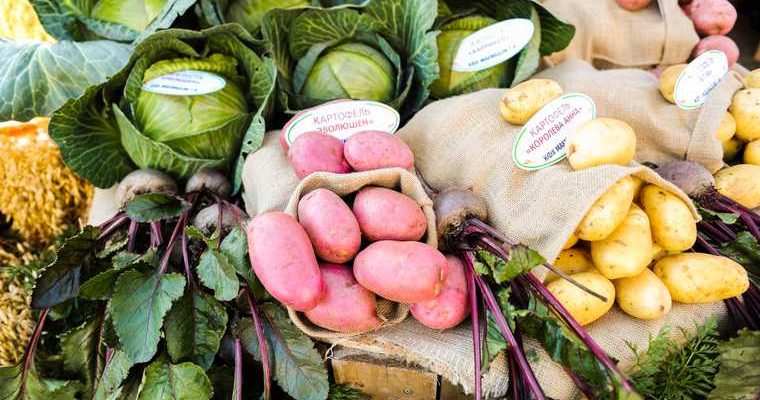 штрафы за неповиновение силовикам