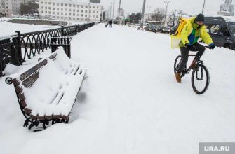 опрос исследование возраст кто больше тратит курьер доставка