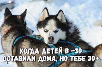 Фальков