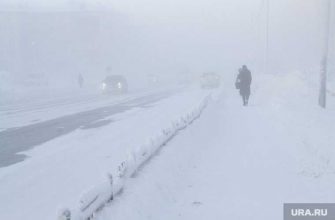 ЯНАО уборка снега накаты тротуары улицы Салехард нарушения
