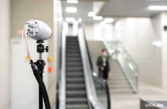 биометрия посадка самолет Домодедово