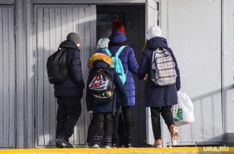 айти переучиться программирование основа