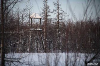 лагпункт стройки 501 памятники ЯНАО