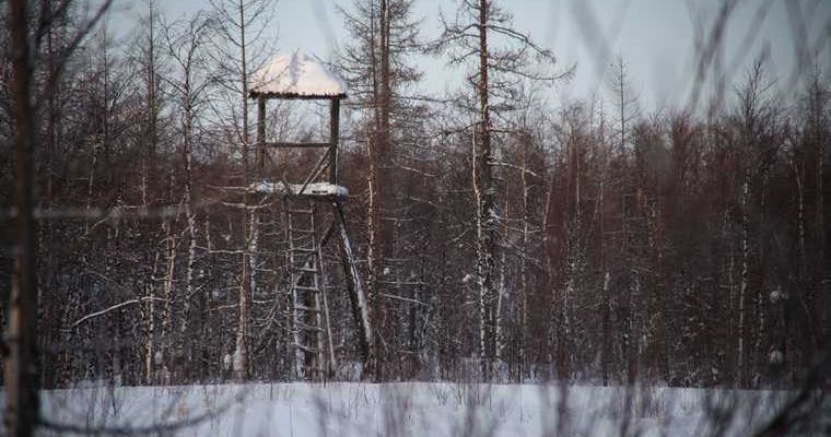 лагпункт стройки 501 памятники ЯНАО