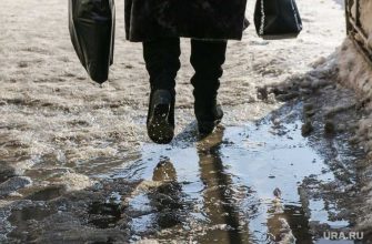 погода потепление