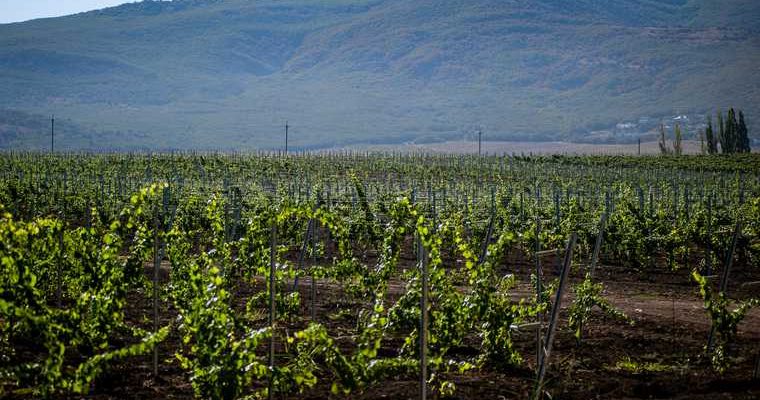 Крым и Украина