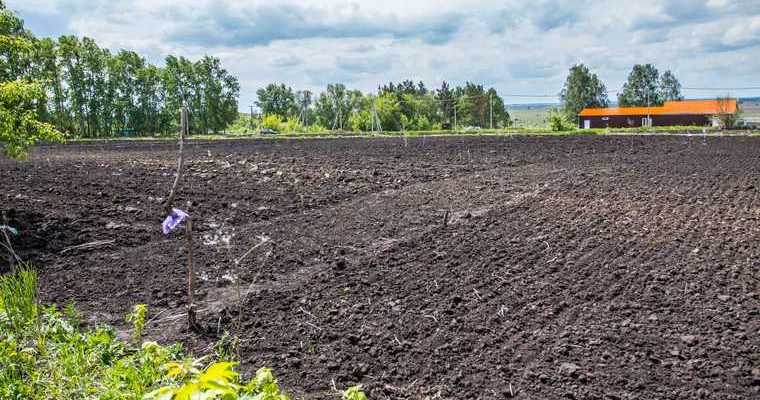 стоимость земли в Свердловской области