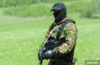 РФ может помочь задержанному командиру ДНР