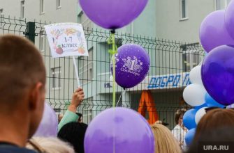 Челябинская область образование дети школа зачисление в первый класс